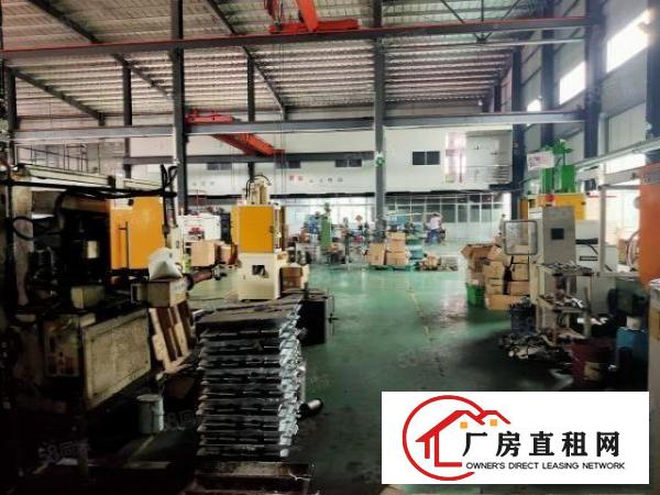 塘厦科苑城新出钢构厂房1000平，现在行车，滴水九米高
