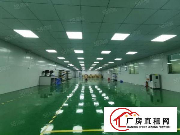  塘厦林村新出二楼洁净车间1260平，超靓装修面积实在