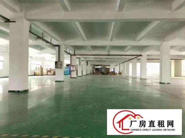  塘厦石马工业区标准3楼1800平方！可分租！可做电池行业