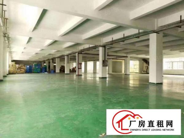  塘厦石马工业区标准3楼1800平方！可分租！可做电池行业