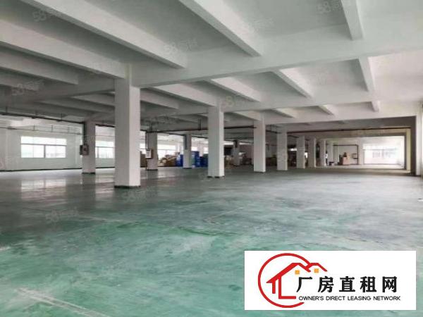  塘厦石马工业区标准3楼1800平方！可分租！可做电池行业