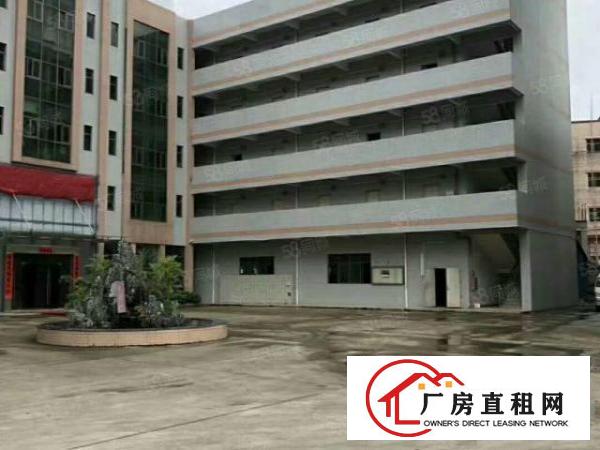  塘厦石马工业区标准3楼1800平方！可分租！可做电池行业