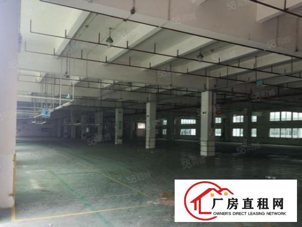  凤岗雁田布心工业区独栋厂房出租500平小面积仓库分租合租
