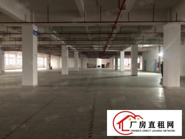  凤岗雁田布心工业区独栋厂房出租500平小面积仓库分租合租