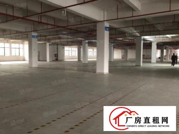  凤岗雁田布心工业区独栋厂房出租500平小面积仓库分租合租