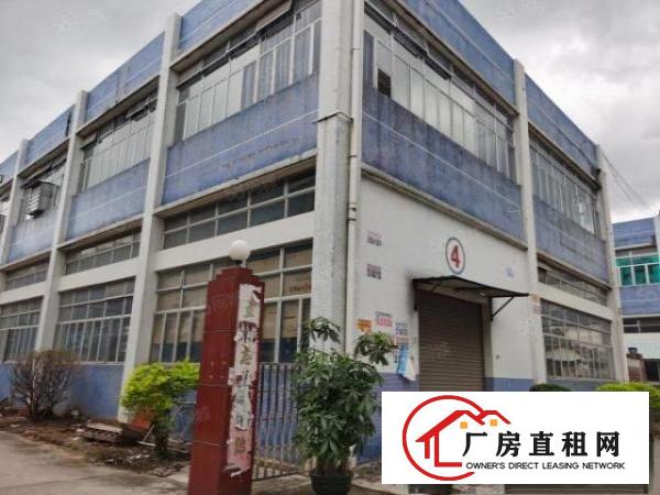  塘厦沙湖原房东小独院2600平米，现成精装修，水电齐全
