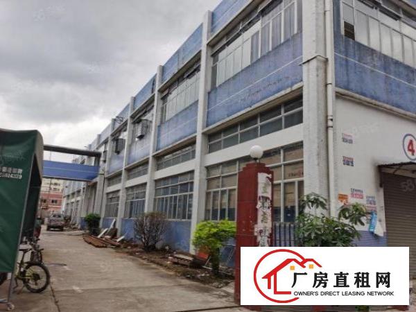  塘厦沙湖原房东小独院2600平米，现成精装修，水电齐全