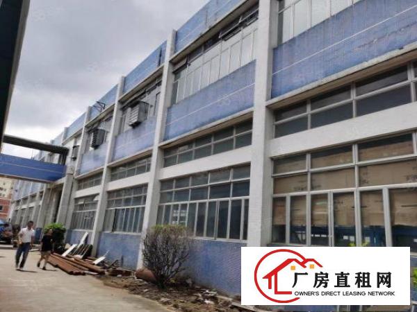  塘厦沙湖原房东小独院2600平米，现成精装修，水电齐全