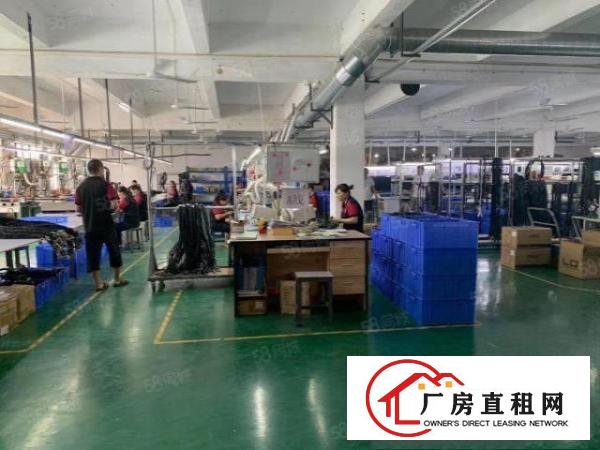  可分租，可办环评，精装修，新出2楼1650平，水电齐全。