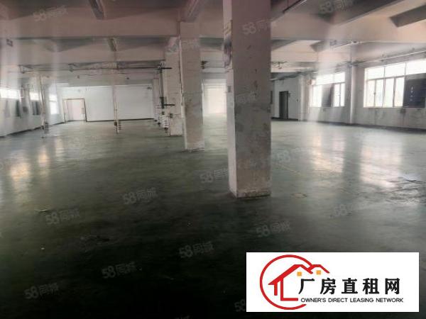  塘厦石潭埔新出原房东独门独院5500平方，现成精装修价钱便宜