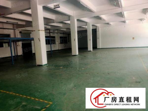  塘厦石潭埔新出原房东独门独院5500平方，现成精装修价钱便宜