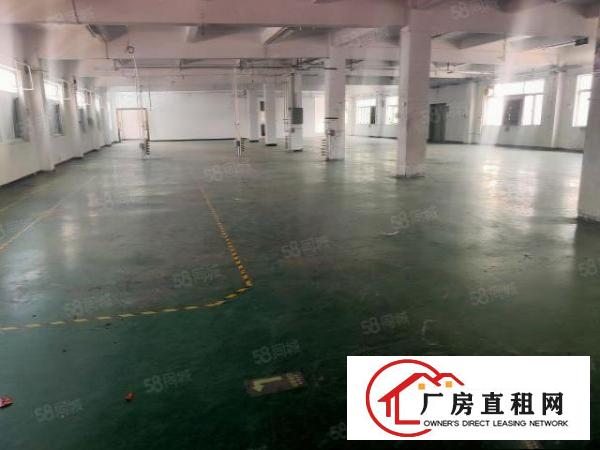  塘厦石潭埔新出原房东独门独院5500平方，现成精装修价钱便宜