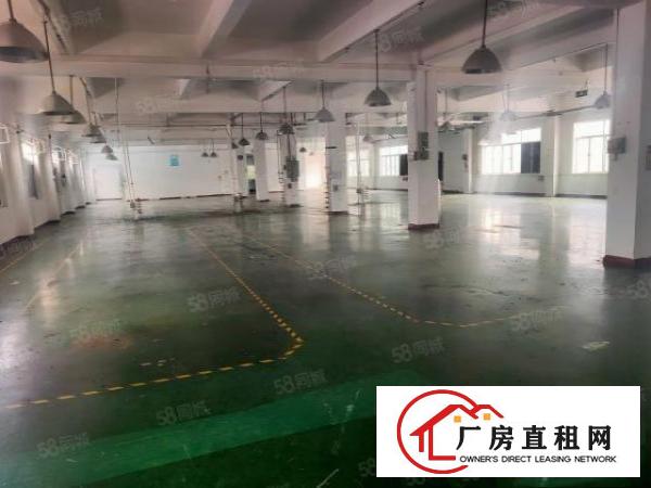  塘厦石潭埔新出原房东独门独院5500平方，现成精装修价钱便宜