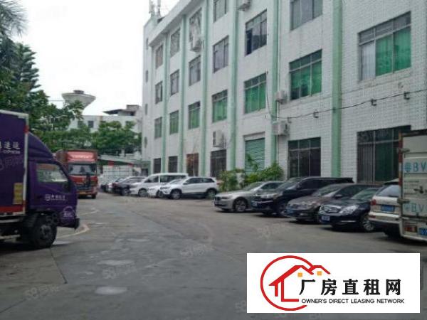  塘厦莆心湖工业园一楼新空1200平厂房，面积实在形象好空地大
