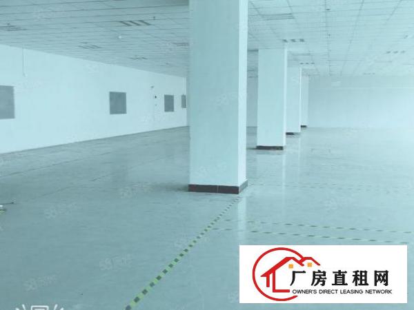  凤岗雁田布垅工业区独栋厂房出租200平小面积仓库分租合租