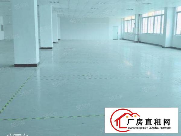  凤岗雁田布垅工业区独栋厂房出租200平小面积仓库分租合租