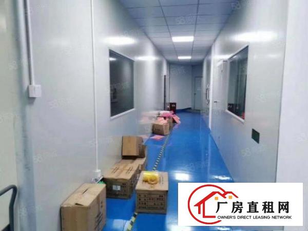  塘厦石鼓原房东精装修无尘车间600出租，水电齐全