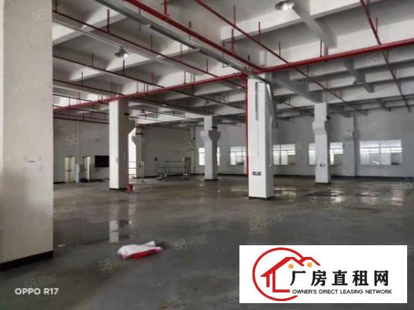  塘厦莲湖一楼厂房出租1500平有牛腿适注塑模具五金