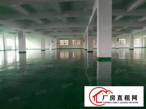  塘厦石马独院标准3楼2080平方！可分租！地坪漆精装修