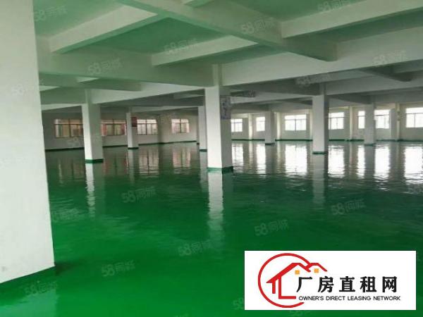  塘厦石马独院标准3楼2080平方！可分租！地坪漆精装修