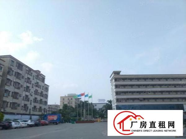  原房东实际面积出租！塘厦清湖头1500平！标准一楼厂房带牛角