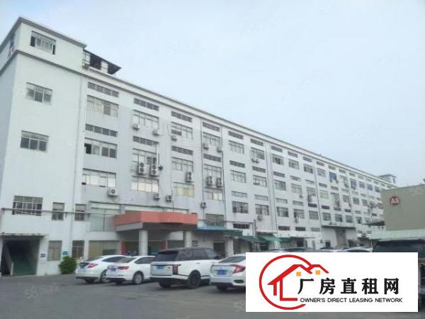  原房东实际面积出租！塘厦清湖头1500平！标准一楼厂房带牛角