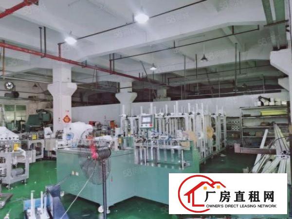  原房东实际面积出租！塘厦清湖头1500平！标准一楼厂房带牛角