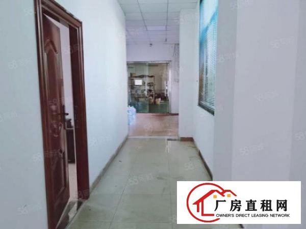  原房东实际面积出租！塘厦清湖头1500平！标准一楼厂房带牛角