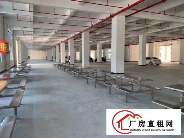  塘厦新出标准厂房2000平精装修高端大气形象好，带消防喷淋