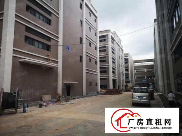  塘厦石鼓标准厂房1800平证件齐全可分租