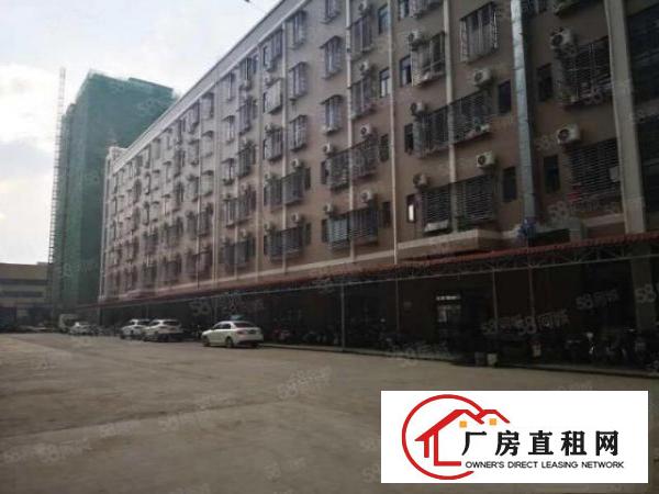  塘厦石鼓标准厂房1800平证件齐全可分租