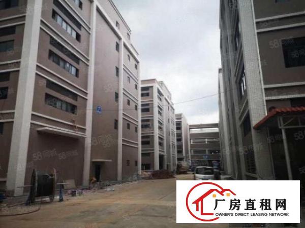  塘厦石鼓标准厂房1800平证件齐全可分租