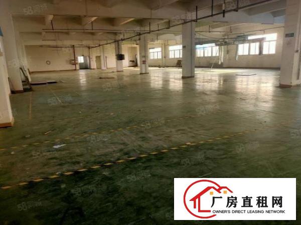  塘厦林村原房东出租独门独院5600平方，交通方便价钱实惠