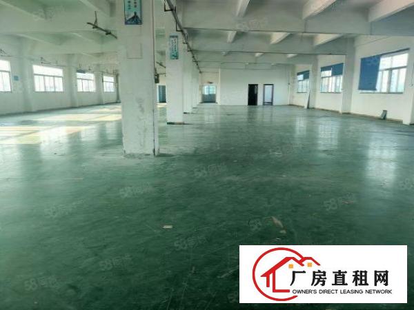  塘厦林村原房东出租独门独院5600平方，交通方便价钱实惠