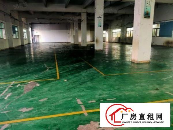  塘厦林村原房东出租独门独院5600平方，交通方便价钱实惠