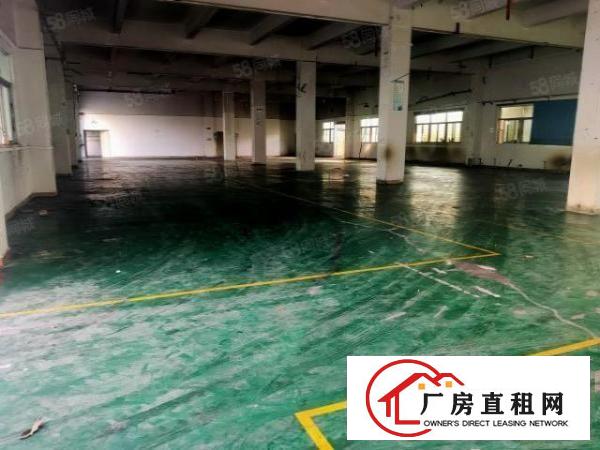  塘厦林村原房东出租独门独院5600平方，交通方便价钱实惠
