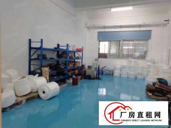  塘厦科苑路新出标准厂房1楼1580平方，地坪漆，水电齐全