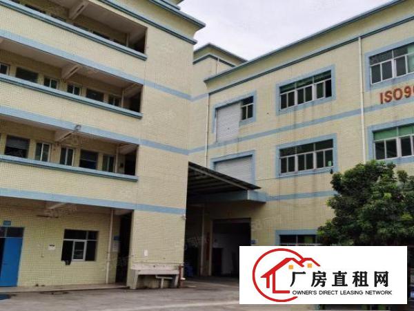  塘厦标准独院厂房7705平米出租形象好配套齐