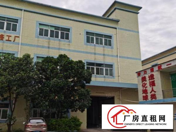  塘厦标准独院厂房7705平米出租形象好配套齐