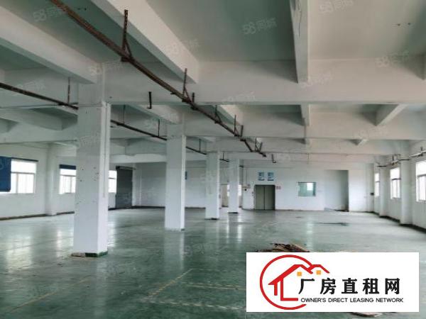  塘厦标准独院厂房7705平米出租形象好配套齐