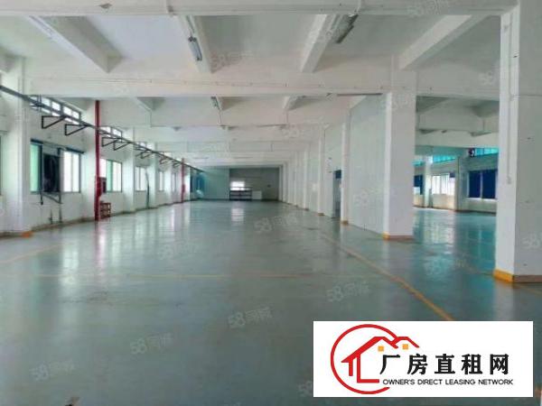  莆心湖楼上1300平带地坪漆水电宿舍办公室可做电子数据线线材