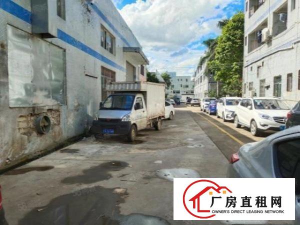 塘厦凤凰岗工业园钢构900平阁楼做办公室中间无柱子