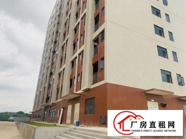  临深片区塘厦塘清凤交界处全新花园式重工业厂房0.5元天