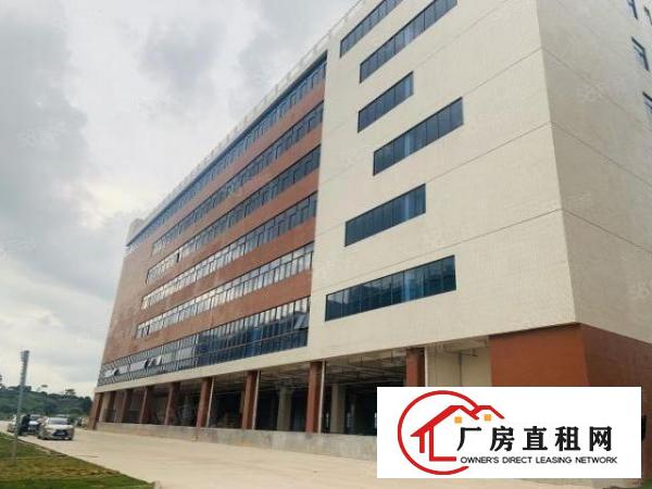  临深片区塘厦塘清凤交界处全新花园式重工业厂房0.5元天