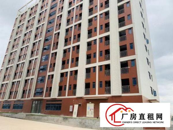  临深片区塘厦塘清凤交界处全新花园式重工业厂房0.5元天