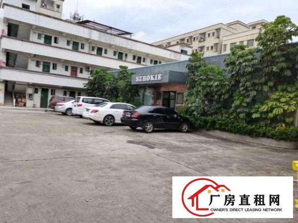  塘厦经典两层小独院厂房3600平招租，水电齐全，空地大