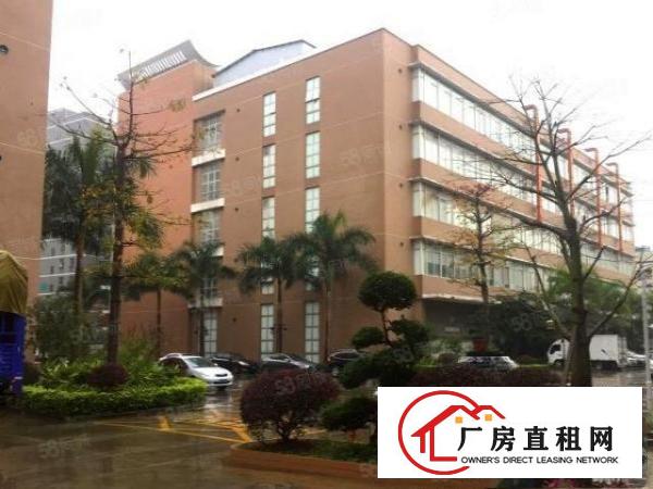  凤岗西旺工业园新出一楼900平水电到位超大空地厂房出租可分租