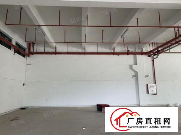  凤岗西旺工业园新出一楼900平水电到位超大空地厂房出租可分租