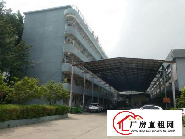  塘厦莲湖厂房出租700平方可分租！有空地停车位可办环评急招租