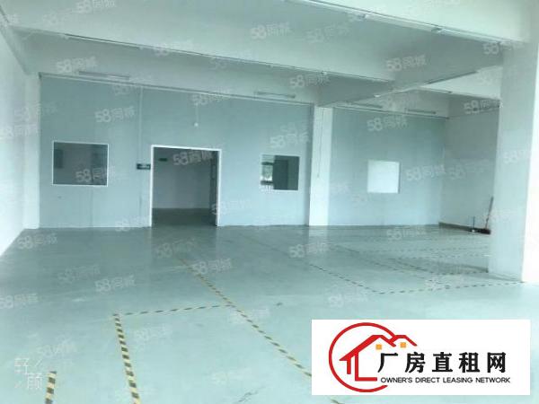 塘厦田心标准600平厂房形象好原房东证件齐全